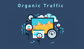 7 Ways How to Manage Organic Traffic Visiting Your Website